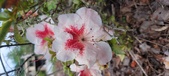 Enlarge photo 108