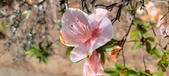 Enlarge photo 109
