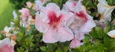 Enlarge photo 113