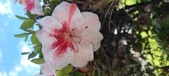 Enlarge photo 112