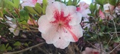 Enlarge photo 118
