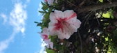 Enlarge photo 120