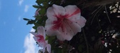 Enlarge photo 121