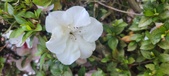 Enlarge photo 125
