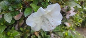 Enlarge photo 124