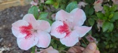 Enlarge photo 123