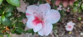 Enlarge photo 130