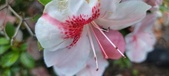 Enlarge photo 132