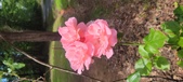 Enlarge photo 140