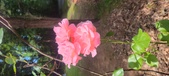 Enlarge photo 142