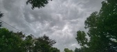 Enlarge photo 116