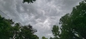 Enlarge photo 117