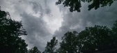 Enlarge photo 115