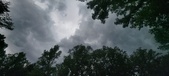 Enlarge photo 114
