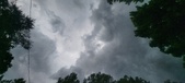 Enlarge photo 113
