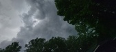 Enlarge photo 112
