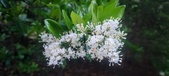 Enlarge photo 99