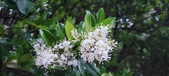 Enlarge photo 97