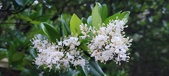 Enlarge photo 95