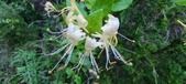 Enlarge photo 90