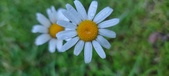Enlarge photo 83