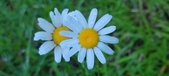 Enlarge photo 80