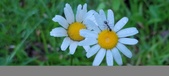 Enlarge photo 119