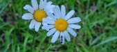 Enlarge photo 69