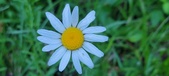Enlarge photo 67