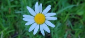 Enlarge photo 66