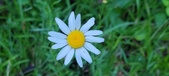 Enlarge photo 65