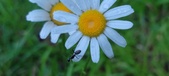 Enlarge photo 64