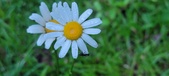 Enlarge photo 63