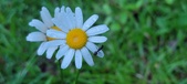 Enlarge photo 62