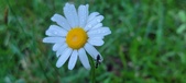Enlarge photo 60