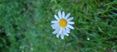 Enlarge photo 58