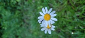 Enlarge photo 57
