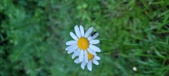 Enlarge photo 55