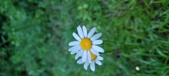 Enlarge photo 54