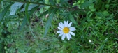 Enlarge photo 52