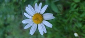 Enlarge photo 49