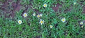 Enlarge photo 48