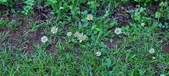 Enlarge photo 47