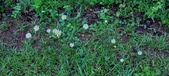Enlarge photo 46