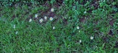 Enlarge photo 45