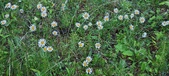 Enlarge photo 44