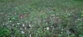 Enlarge photo 43