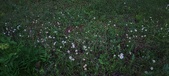 Enlarge photo 42