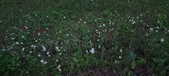 Enlarge photo 41