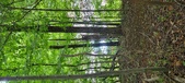 Enlarge photo 36